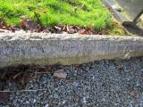 image of grave number 376410